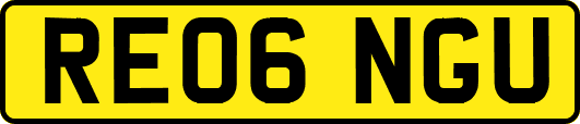 RE06NGU