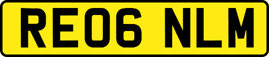 RE06NLM