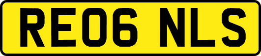 RE06NLS