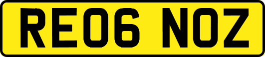 RE06NOZ