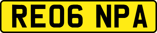 RE06NPA
