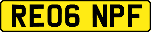 RE06NPF