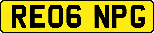 RE06NPG