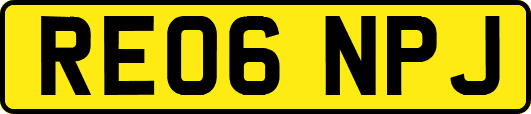 RE06NPJ