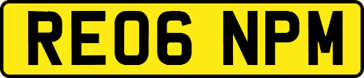 RE06NPM