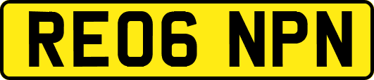 RE06NPN