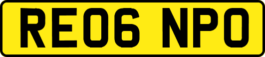 RE06NPO