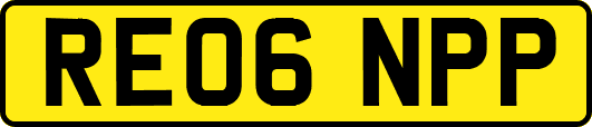RE06NPP