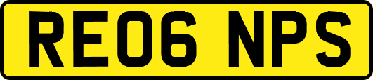 RE06NPS