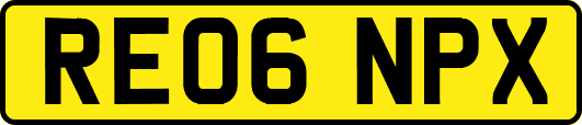 RE06NPX