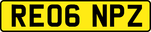 RE06NPZ
