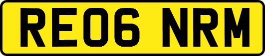 RE06NRM
