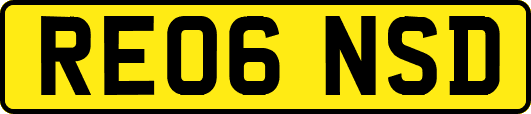 RE06NSD