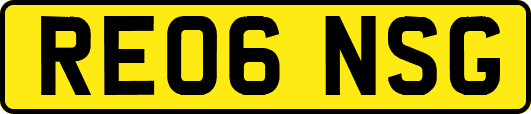 RE06NSG