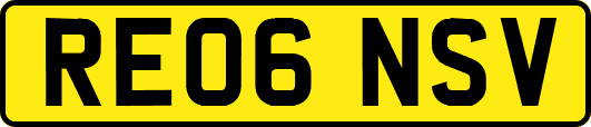 RE06NSV