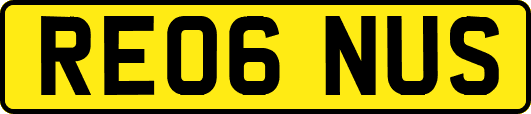 RE06NUS