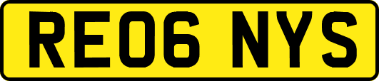 RE06NYS