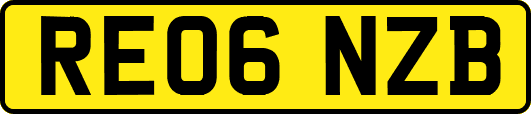 RE06NZB