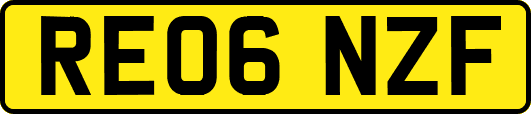 RE06NZF
