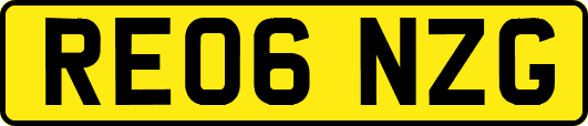 RE06NZG