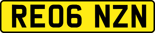 RE06NZN