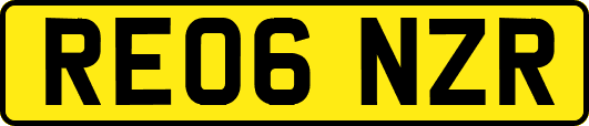 RE06NZR
