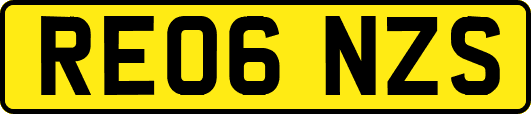 RE06NZS