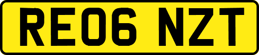 RE06NZT