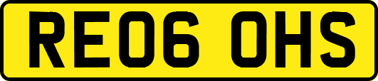 RE06OHS