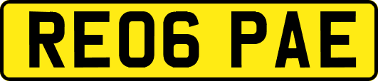 RE06PAE