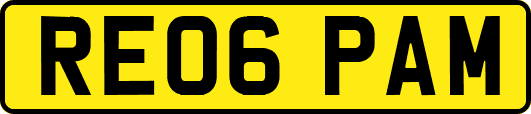 RE06PAM
