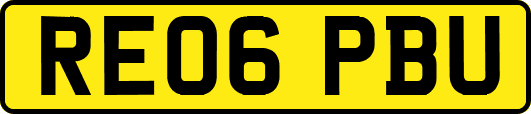 RE06PBU