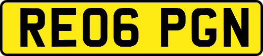 RE06PGN