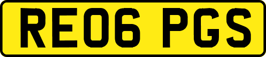 RE06PGS