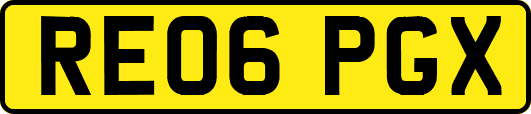 RE06PGX