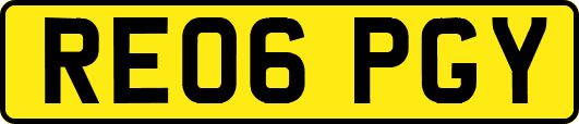 RE06PGY