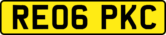 RE06PKC