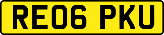 RE06PKU