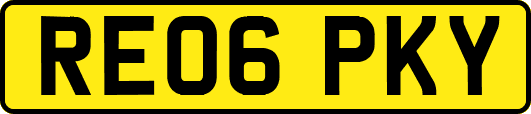 RE06PKY
