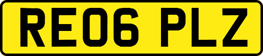 RE06PLZ