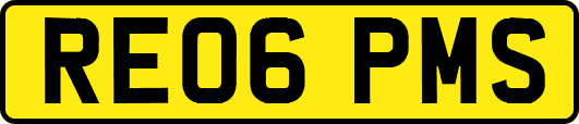 RE06PMS