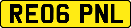 RE06PNL