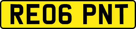 RE06PNT