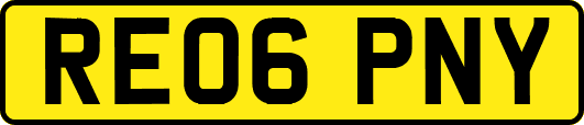 RE06PNY