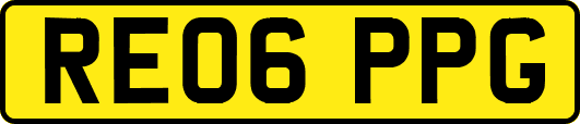 RE06PPG