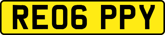 RE06PPY