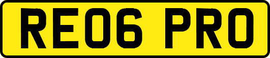RE06PRO