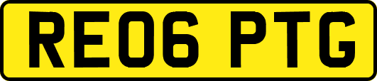 RE06PTG