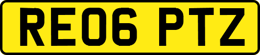 RE06PTZ