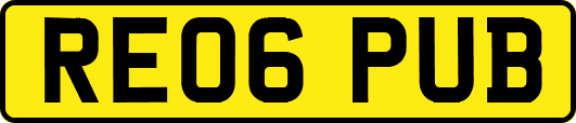 RE06PUB